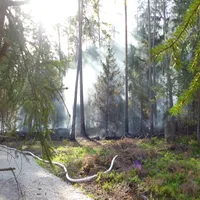 2022_06_07_waldbrand_sandsee_bild_03.jpg