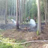 2022_06_07_waldbrand_sandsee_bild_04.jpg