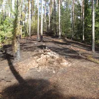 2022_08_02_wladbran_mi_bild_02.jpg